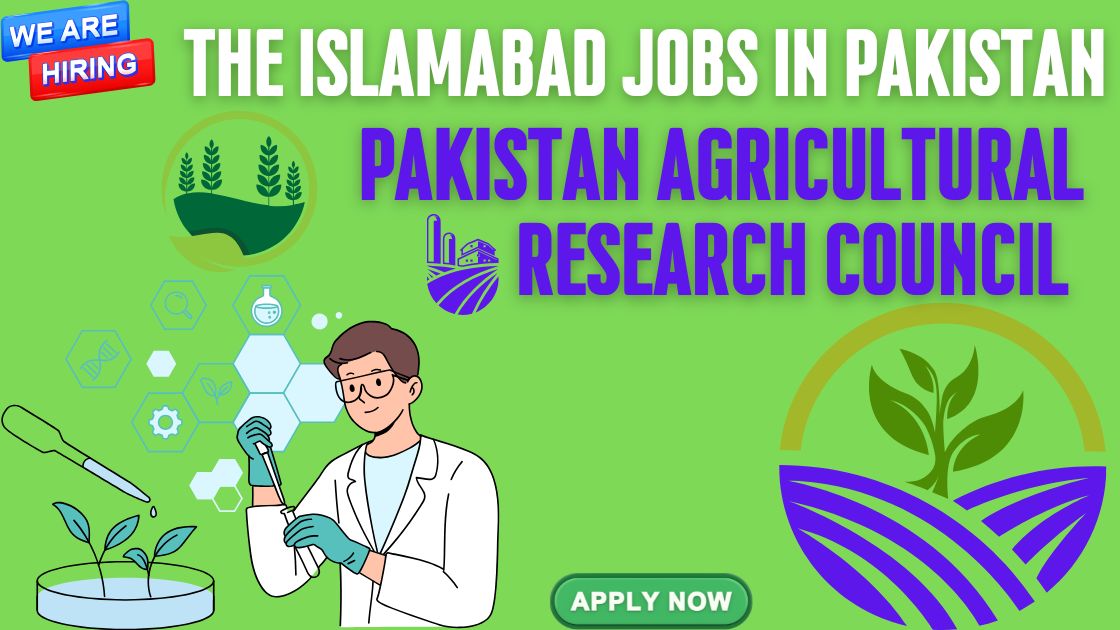 The Islamabad Jobs In Pakistan