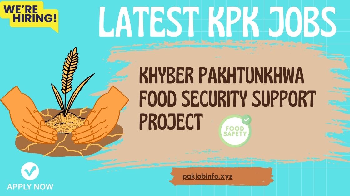 Latest Kpk Jobs