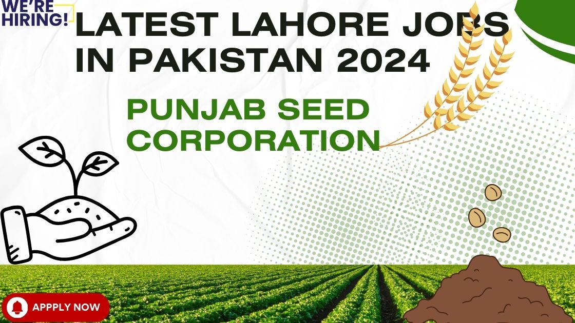 Latest Lahore Jobs In Pakistan 2024