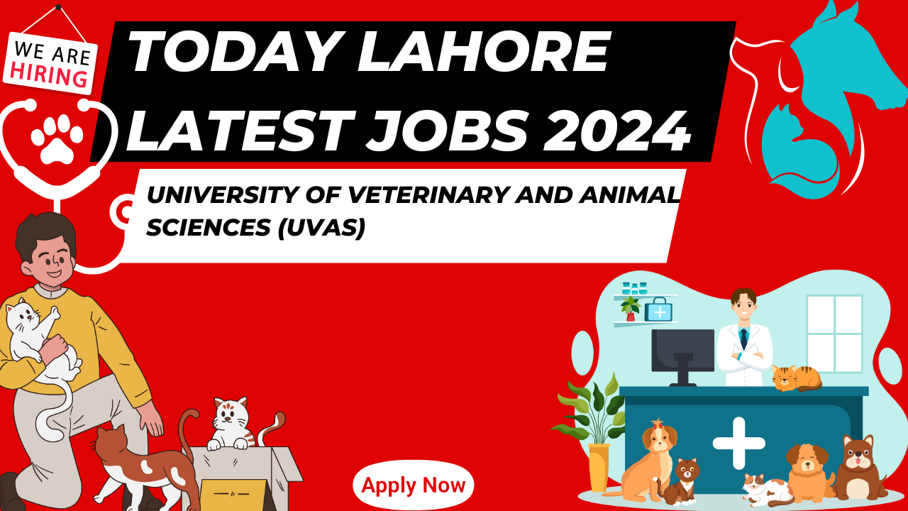 Today Lahore Latest Jobs 2024